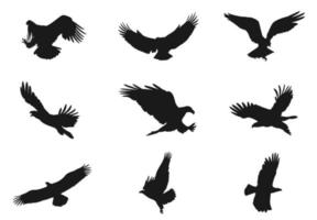 Set of eagle silhouettes with different angles vector