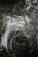 a wisp of smoke on a dark background. Vertical view photo