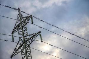 muchos pájaros están sentados en el cable de la línea eléctrica. ver hacia arriba, horizontal. foto