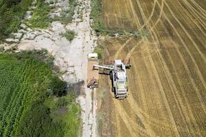 Combine harvester uploads harvest grains to dump truck. Harvesting season. photo