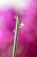 Fotografía macro de una aguja médica para inyección con gotas de líquido con reflejo