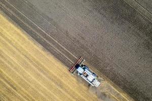 Aerial view drone of harvesting field with combine mows wheat.  Harvesting in the fields. Top view photo