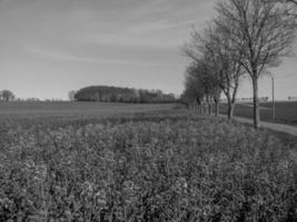 paisaje de westfalia cerca de billerbeck foto