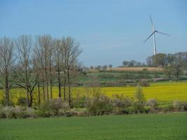 spring time in the german baumberge photo