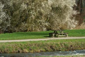 the aa river in westphalia photo