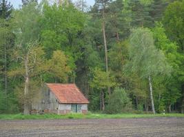 hiking in a forest near ahaus germany photo