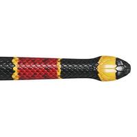 Eastern coral snake 3D illustration. photo