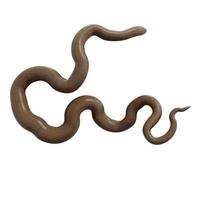 Rubber boa 3d illustration. photo