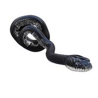 Black rat snake 3D illustration. photo