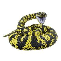 Zebra jungle carpet python 3D illustration. photo