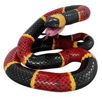 Eastern coral snake 3D illustration. photo