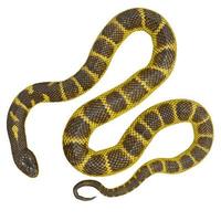 Tiger snake 3D illustration. photo