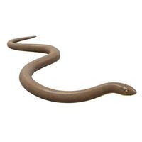 Rubber boa 3d illustration. photo