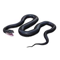 Black rat snake 3D illustration. photo