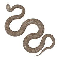 ilustración 3d de serpiente marrón oriental. foto