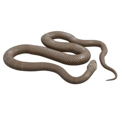 Animated Eastern Brown Snake 3D model - TurboSquid 1950264