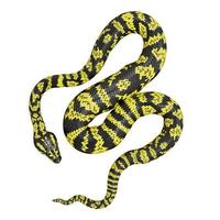 Zebra jungle carpet python 3D illustration. photo