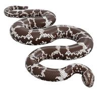 Kenyan sand boa 3d illustration. photo