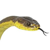 Tiger snake 3D illustration. photo