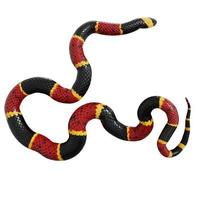 Eastern coral snake 3D illustration. photo