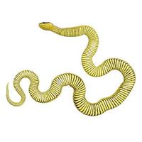 Tiger snake 3D illustration. photo