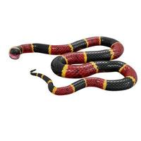 Eastern coral snake 3D illustration. photo