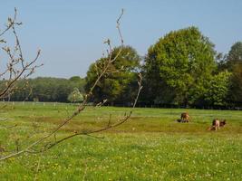 hiking near reken in the german muensterland photo