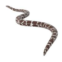 Kenyan sand boa 3D illustration. photo