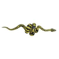 Zebra jungle carpet python 3D illustration. photo