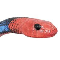 Blue coral snake 3D illustration. photo