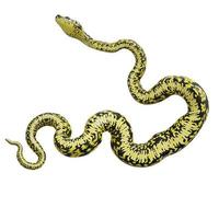 Zebra jungle carpet python 3D illustration. photo