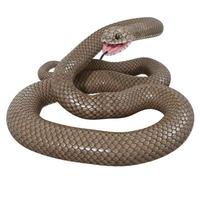 Eastern brown snake 3D illustration. photo