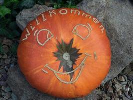 pumpkins in a german garden photo