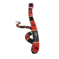 Eastern coral snake 3D illustration. photo