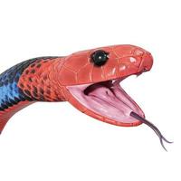 Blue coral snake 3D illustration. photo