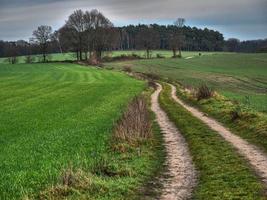 hiking near reken in the german muensterland photo