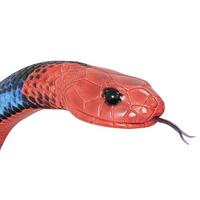 Blue coral snake 3D illustration. photo