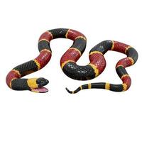 Eastern coral snake 3D illustration. photo