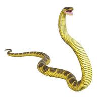 Tiger snake 3D illustration. photo