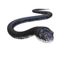 ilustración 3d de serpiente de rata negra. foto