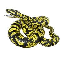 Zebra jungle carpet python 3D illustration. photo