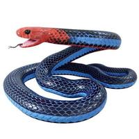 Blue coral snake 3D illustration. photo