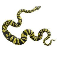 Zebra jungle carpet python 3D illustration. photo