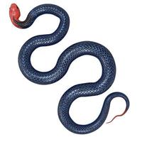 Blue coral snake 3D illustration. photo