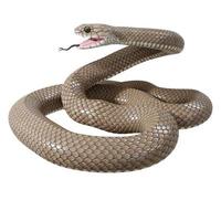 Eastern brown snake 3D illustration. photo