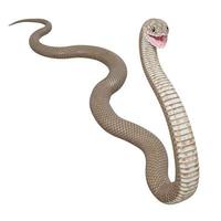 Eastern brown snake 3D illustration photo