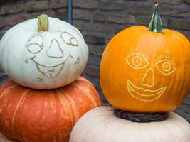 calabazas en un jardín alemán foto