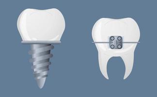 Teeth in realistic style. Dental details icons. Colorful vector illustration isolated on background.