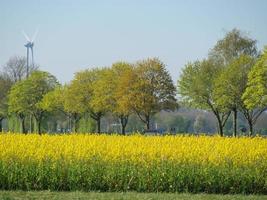 spring time near Stadtlohn in germany photo