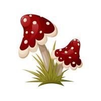 Fly agaric in the grass. Two poison mushrooms, cartoon vector illustration